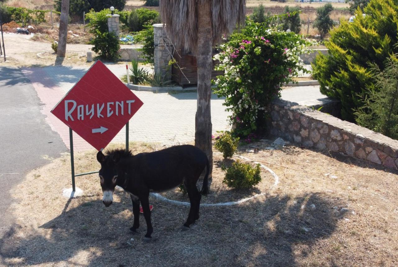 Villa Ernis - Datca Raykent Tatil Sitesi - Kiralik Exteriér fotografie